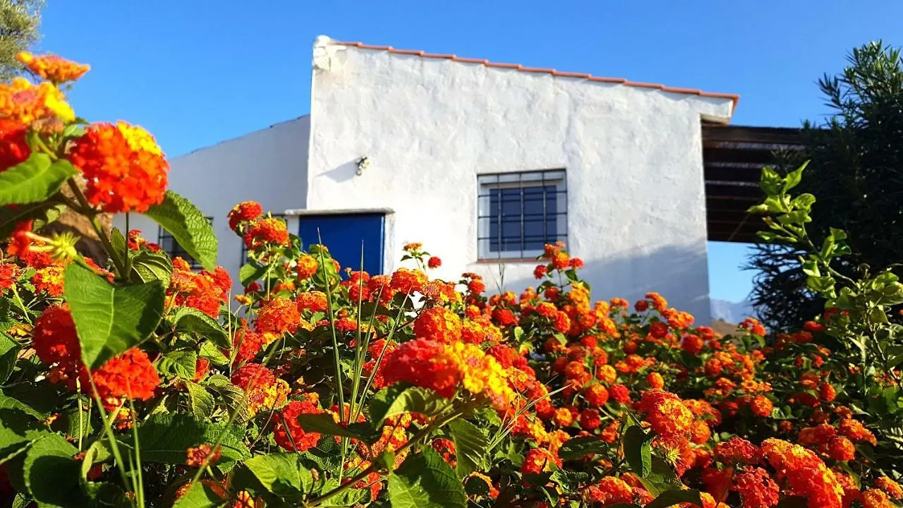 Las Casitas De Felipe contacts